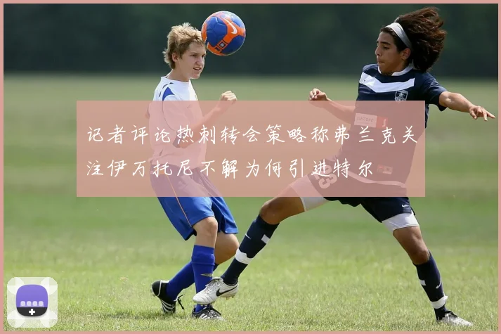 记者评论热刺转会策略称弗兰克关注伊万托尼不解为何引进特尔