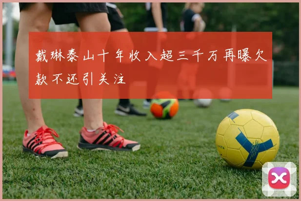 戴琳泰山十年收入超三千万再曝欠款不还引关注