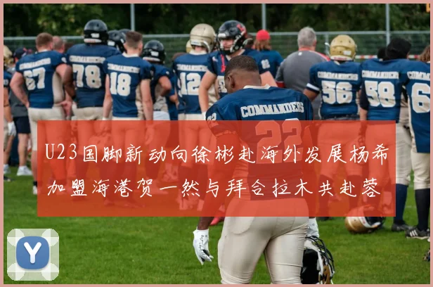 U23国脚新动向徐彬赴海外发展杨希加盟海港贺一然与拜合拉木共赴蓉城