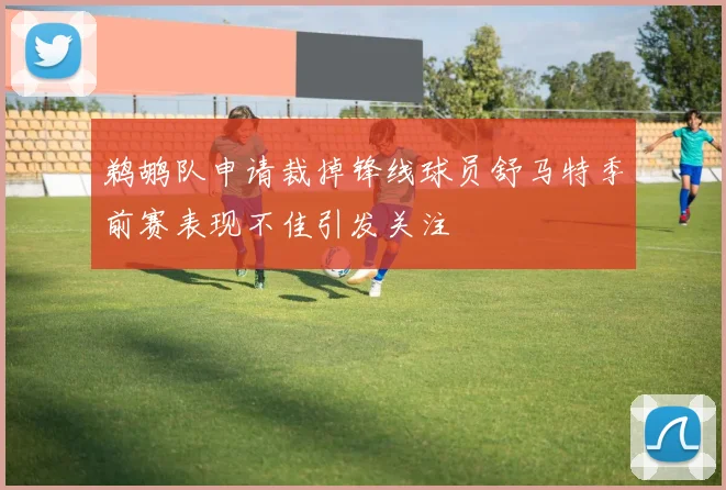 鹈鹕队申请裁掉锋线球员舒马特季前赛表现不佳引发关注